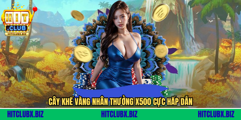 Cây khế vàng nhân thưởng x500 cực hấp dẫn